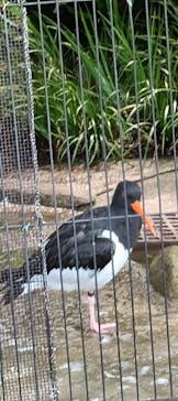 恩賜上野動物園に投稿された画像（2025/10/12）