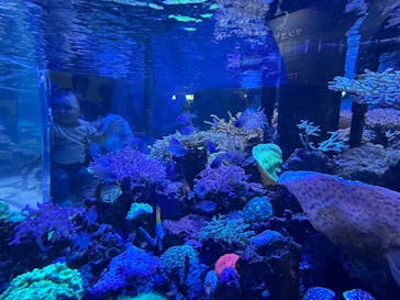 名古屋港水族館に投稿された画像（2025/10/12）