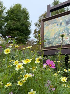 ガーデンミュージアム比叡に投稿された画像（2025/10/12）