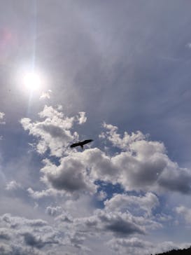 那須どうぶつ王国に投稿された画像（2025/10/12）