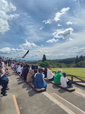 那須どうぶつ王国に投稿された画像（2025/10/12）