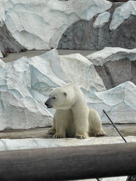 恩賜上野動物園に投稿された画像（2025/10/12）