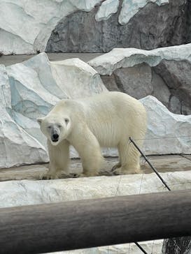 恩賜上野動物園に投稿された画像（2025/10/12）