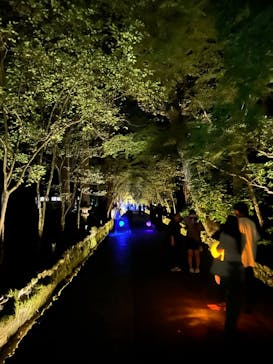 NAKED夜さんぽ™ 石川・那谷寺に投稿された画像（2025/10/12）