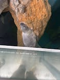 しながわ水族館に投稿された画像（2025/10/12）