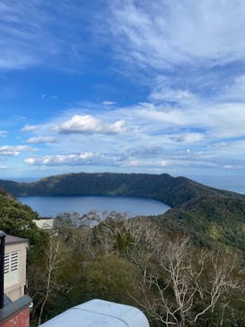 のぼりべつクマ牧場に投稿された画像（2025/10/12）