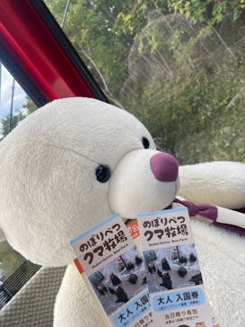 のぼりべつクマ牧場に投稿された画像（2025/10/12）