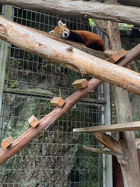 熱川バナナワニ園に投稿された画像（2025/10/12）