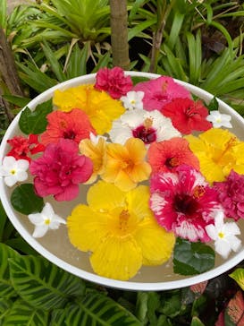 熱川バナナワニ園に投稿された画像（2025/10/12）