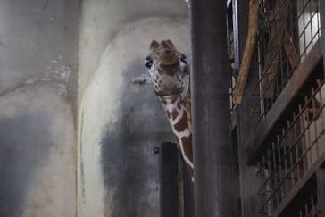 恩賜上野動物園に投稿された画像（2025/10/12）