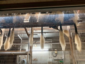 恩賜上野動物園に投稿された画像（2025/10/12）