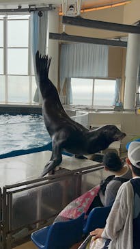 アクアワールド茨城県大洗水族館に投稿された画像（2025/10/12）