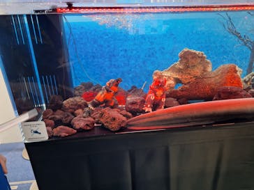 新江ノ島水族館に投稿された画像（2025/10/12）