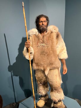 特別展「氷河期展 〜人類が見た4万年前の世界〜」（国立科学博物館）に投稿された画像（2025/10/12）