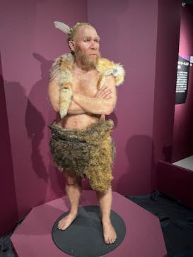 特別展「氷河期展 〜人類が見た4万年前の世界〜」（国立科学博物館）に投稿された画像（2025/10/12）