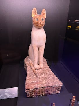 ACN ラムセス大王展 ファラオたちの黄金に投稿された画像（2025/10/12）