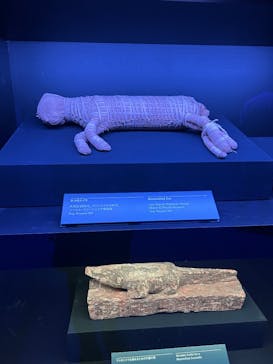 ACN ラムセス大王展 ファラオたちの黄金に投稿された画像（2025/10/12）