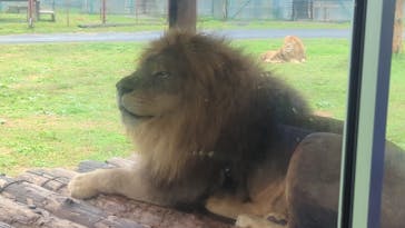 岩手サファリパークに投稿された画像（2025/10/12）