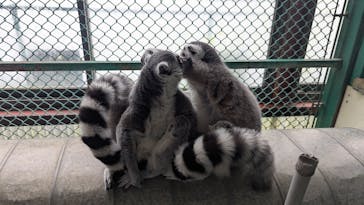 岩手サファリパークに投稿された画像（2025/10/12）