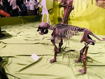 特別展「氷河期展 〜人類が見た4万年前の世界〜」（国立科学博物館）に投稿された画像（2025/10/12）