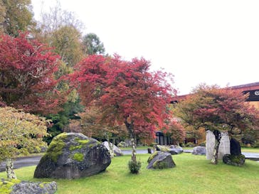 中禅寺金谷ホテル ダイニングルーム 「みずなら」に投稿された画像（2025/10/12）