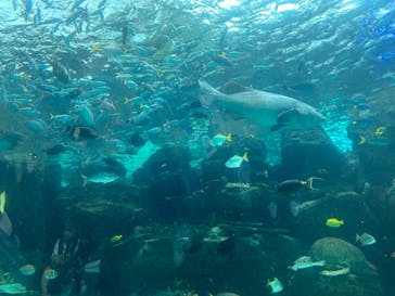 名古屋港水族館に投稿された画像（2025/10/12）