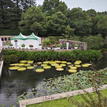 安城産業文化公園デンパークに投稿された画像（2025/10/12）