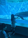 九十九島水族館海きららに投稿された画像（2025/10/12）