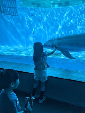 九十九島水族館海きららに投稿された画像（2025/10/12）