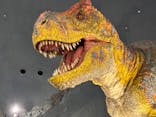 福井県立恐竜博物館に投稿された画像（2025/10/12）