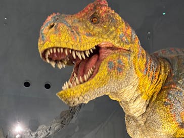 福井県立恐竜博物館に投稿された画像（2025/10/12）