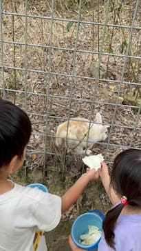 しろとり動物園に投稿された画像（2025/10/12）