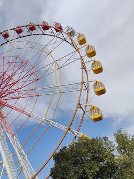 渋川スカイランドパークに投稿された画像（2025/10/12）