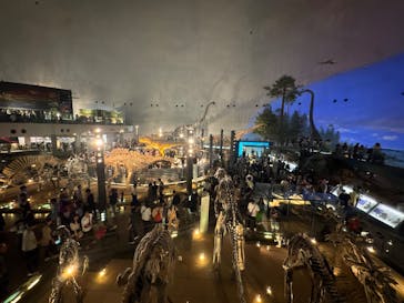 福井県立恐竜博物館に投稿された画像（2025/10/12）