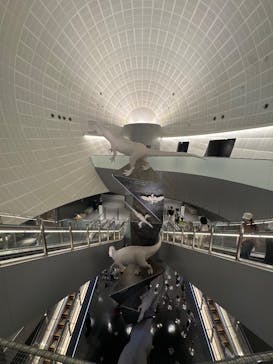 福井県立恐竜博物館に投稿された画像（2025/10/12）