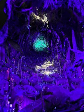 金曜ロードショーとジブリ展（静岡展）に投稿された画像（2025/10/12）