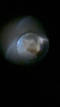 ホラーにふれる展に投稿された画像（2025/10/12）