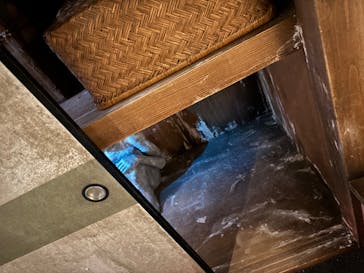 ホラーにふれる展に投稿された画像（2025/10/12）