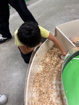 アニタッチ 東京ドームシティに投稿された画像（2025/10/12）