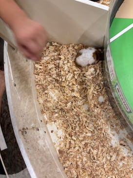 アニタッチ 東京ドームシティに投稿された画像（2025/10/12）