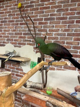 アニタッチ 東京ドームシティに投稿された画像（2025/10/12）