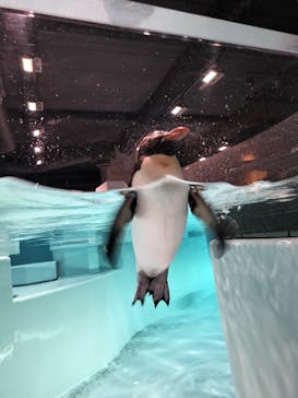 AOAO SAPPOROに投稿された画像（2025/10/12）