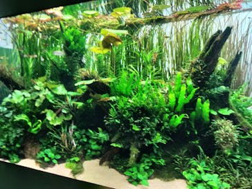 AOAO SAPPOROに投稿された画像（2025/10/12）