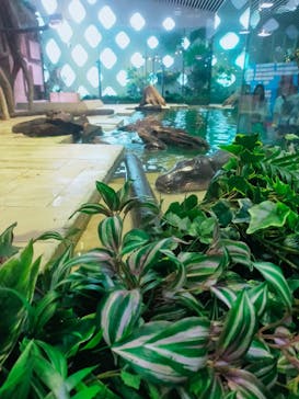 NIFREL（ニフレル）に投稿された画像（2025/10/12）