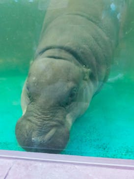 NIFREL（ニフレル）に投稿された画像（2025/10/12）