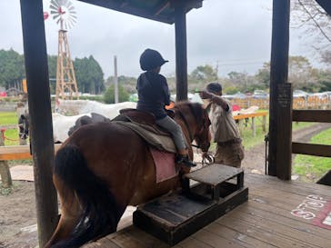 まかいの牧場に投稿された画像（2025/10/12）