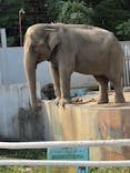 宇都宮動物園に投稿された画像（2025/10/12）