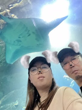 マクセル アクアパーク品川に投稿された画像（2025/10/12）