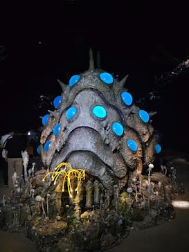 金曜ロードショーとジブリ展（静岡展）に投稿された画像（2025/10/12）