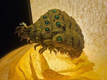 金曜ロードショーとジブリ展（静岡展）に投稿された画像（2025/10/12）